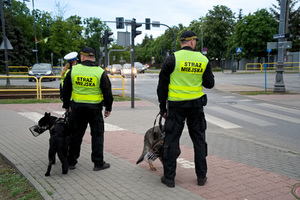 Przewodnicy psów służbowych straży miejskiej stoją z dwoma psami na chodniku