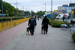 Dwaj przewodnicy psów służbowych wraz z dwoma psami patrolują teren stadionu