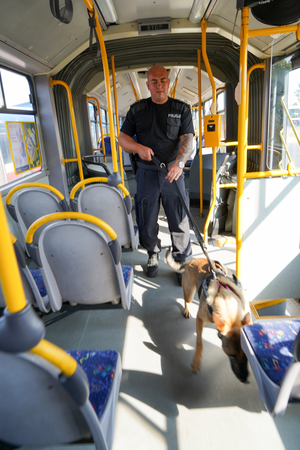 Pies szuka materiałów wybuchowych w autobusie
