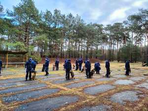 Szkolenie policyjnych przewodników i ich czworonożnych partnerów w służbie