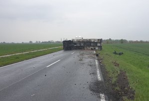 Trasa Bydgoszcz-Koronowo w miejscowości Gościeradz. Widok przewróconej na drogę ciężarówki- ujęcie od strony podwozia pojazdu.