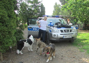 Policyjny radiowóz oraz wyposażenie służbowe policjanta. Dookoła spaceruje kilka psów ze schroniska &quot;Ostatnia Przystań&quot;.