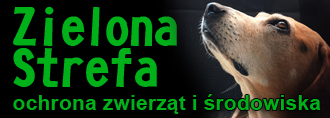 Zielona strefa - ochrona zwierżat i środowiska