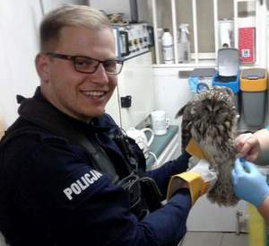 Policjant pozuje z opatrzonym ptakiem.