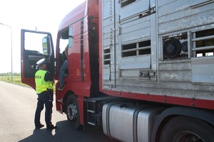 Policjant kontroluje kierowcę dostawczej ciężarówki.