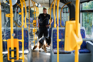 Pies szuka materiałów wybuchowych w autobusie