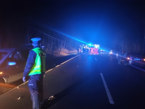 Na pierwszym planie policjant,a w tle strażacy udzielają pomocy potrąconemu