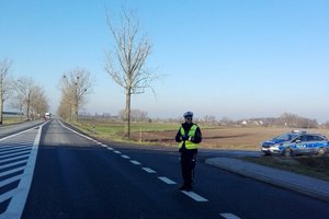 Policjant RD stoi na poboczu, a w tle radiowóz