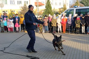 policjant pokazuję dzieciom tresurę psa służbowego