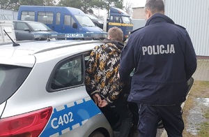 Policjant pomaga wsiąść do radiowozu zatrzymanemu