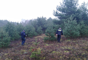 Policjanci na poszukiwaniach