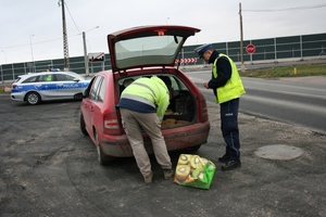 Policjant kontroluje bagażnik auta
