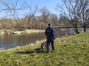 Policjant z psem służbowym kontrolują tereny leśne