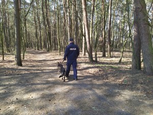 Policjant z psem służbowym kontrolują tereny leśne