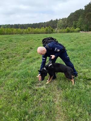 policjant prezentuje umiejętności psa służbowego