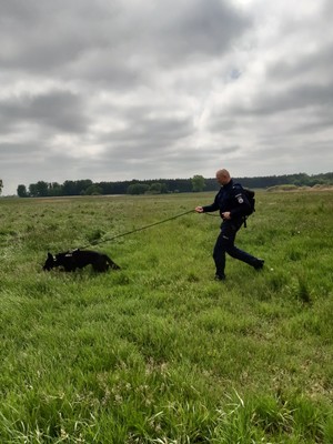 policjant prezentuje umiejętności psa służbowego