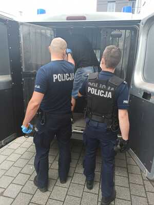 Policjanci "pakują" do radiowozu podejrzanego