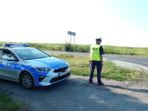 Policjant RD stoi na skraju pobocza, obok radiowóz