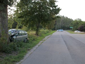 Samochód roztrzaskany o drzewo w tle radiowóz