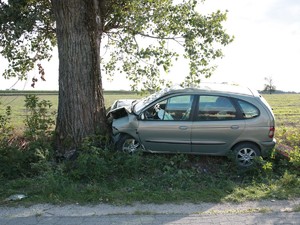 Samochód roztrzaskany na drzewie