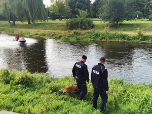 Policjanci z psem oraz ratownik WOPR nad rzeką.