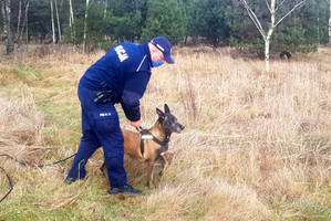 Policjant trzyma psa służbowego na smyczy