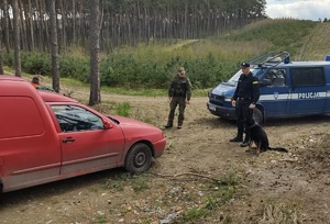 Policjant i strażnik leśny kontrolują zatrzymany w lesie samochód