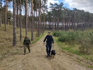 Policjant z psem służbowym i strażnik leśny patrolują drogę leśną