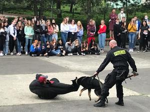 Policjant i pies podczas pokazu.