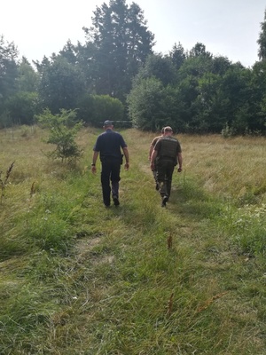 Policjanci i strażnik leśny na polanie.