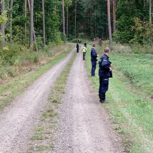 Poszukiwacze stoją na skraju lasu