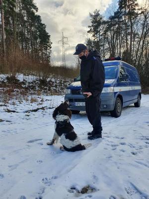 Policjant z psem w lesie.