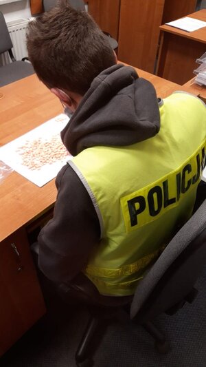 Policjant liczy tabletki