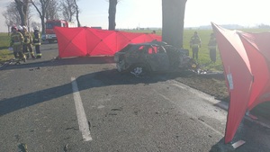 Widok na rozbity i spalony samochód osobowy oraz pracujące na miejscu służby ratunkowe