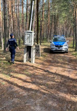 Policjant przy słupie w lesie.