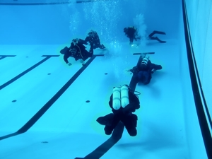 pięciu płetwonurków pod wodą w basenie