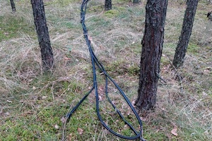 Kable leżą na trawie