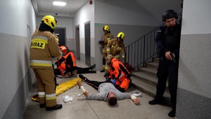 ratownicy medyczni i strażacy udzielają pierwszej pomocy poszkodowanym