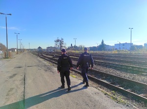 Policjanci idą wzdłuż torów
