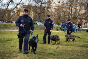 Policjanci z psami.
