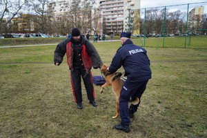 Pokaz umiejętności psów służbowych. Pozorant został złapany przez psa za rękę, Policjant trzyma psa.
