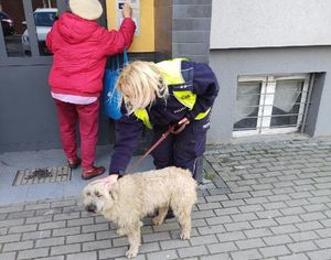 policjantka głaszcze białego psa. Za nią starsza kobieta otwiera przez domofon drzwi
