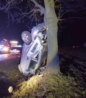 Auto rozbite na drzewie, w tle służby ratunkowe