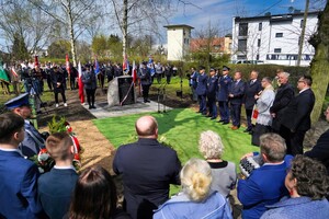Widok miejsca posadzenia drzew przy pomniku.