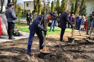 Moment posadzenia drzewa przez policjanta.