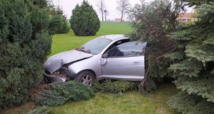 Widok na rozbity samochód stojący między drzewami