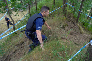 policjant wchodzi na górkę