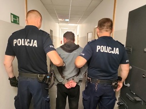 Policjanci prowadzą sprawcę śmiertelnego potrącenia