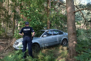 Samochód w lesie pomiędzy drzewami.