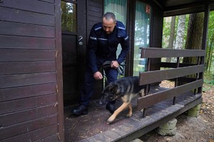 Policjant wraz z psem służbowym chodzą po tarasie drewnianego domu